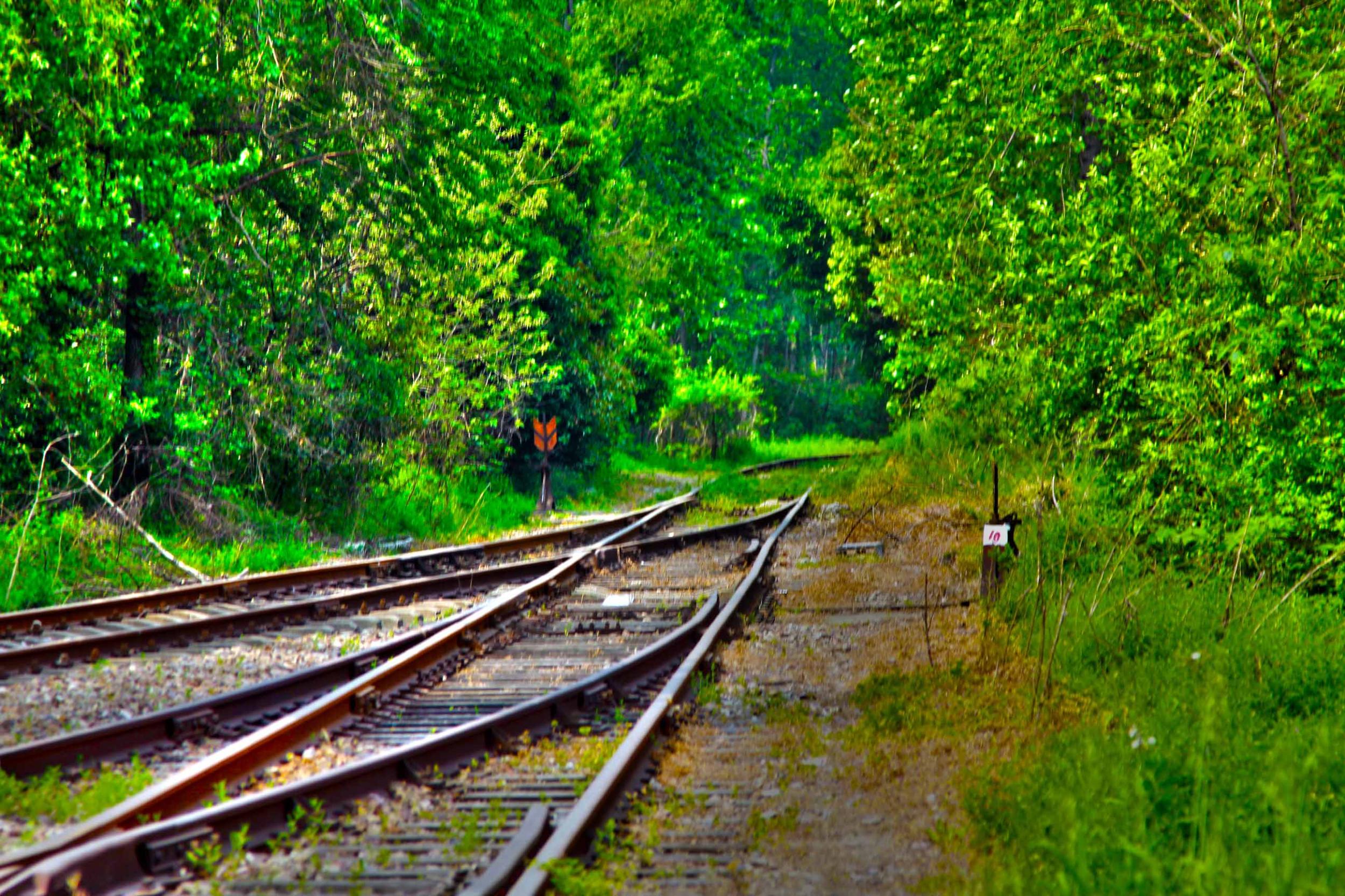 我省今年年內(nèi)有4條鐵路線投入運營更多出行選擇！