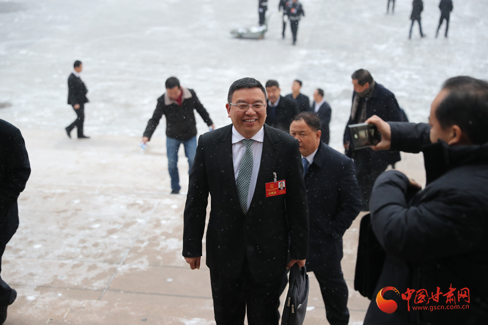 【聚焦2020甘肅兩會】“兩會”代表、委員風(fēng)采掠影（組圖）