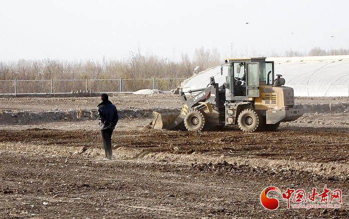 【甘肅全民戰(zhàn)“疫”】高臺(tái)：懷揣訂單好種田