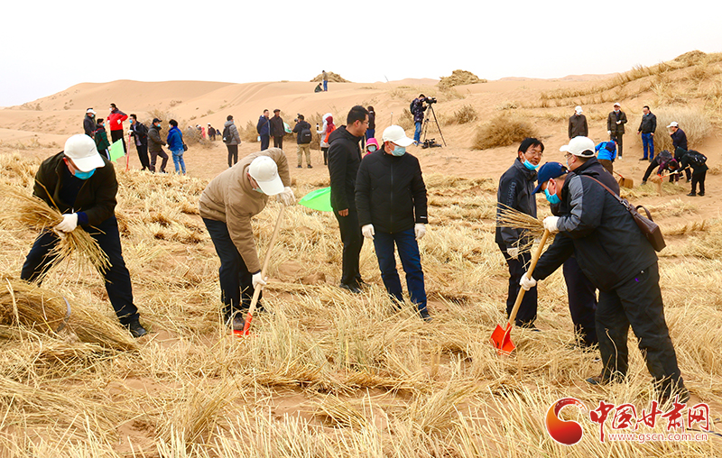 不“疫”樣的植樹節(jié)！甘肅省新聞戰(zhàn)線工作者攜手播綠“八步沙”（圖+視頻）