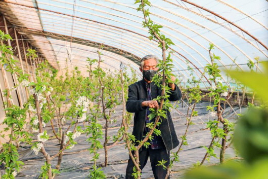 銅城復(fù)蘇：春光明媚，邀你共賞芳華（組圖）