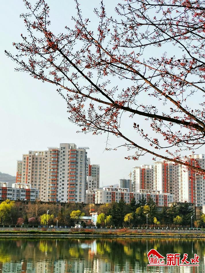 春天，古城天水的十個美麗瞬間