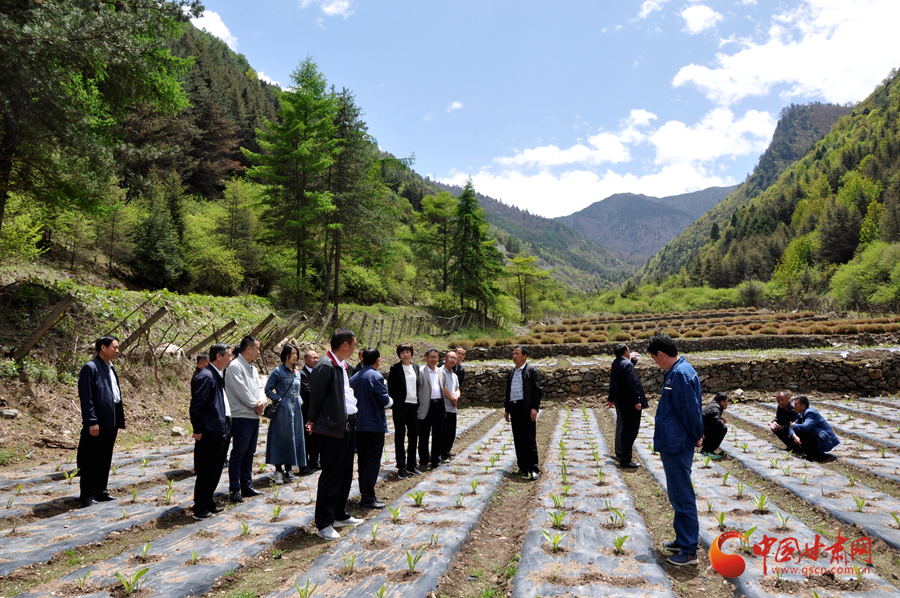 白龍江博峪河保護(hù)局開(kāi)展產(chǎn)業(yè)發(fā)展、義務(wù)勞動(dòng)成果現(xiàn)場(chǎng)觀摩交流活動(dòng)