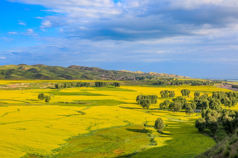 創(chuàng)意海報丨甘肅的美，你來了才知道