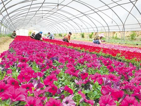 決戰(zhàn)決勝脫貧攻堅主題全媒體集中采訪團走進蘭州