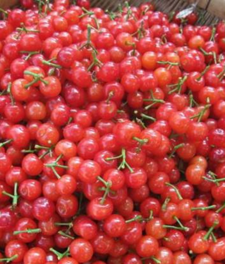 蘭州機場開設兩條農(nóng)產(chǎn)品綠色檢查通道