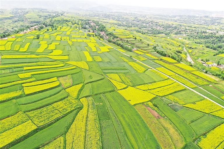 奮楫揚帆風正勁 爭先進位正當時——臨夏州上半年經濟社會發(fā)展和重點工作綜述