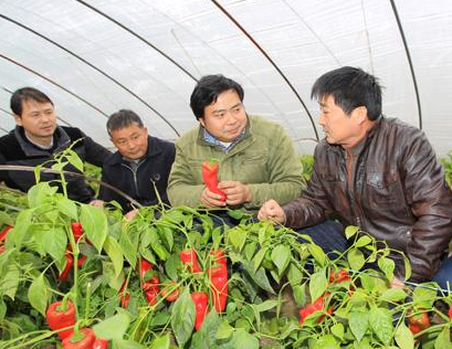 蘭州市農(nóng)業(yè)科技人員“三下鄉(xiāng)”為農(nóng)民開展技術培訓