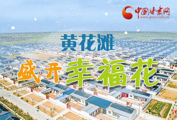 【跟著總書記看甘肅】長圖|武威黃花灘盛開幸?；?