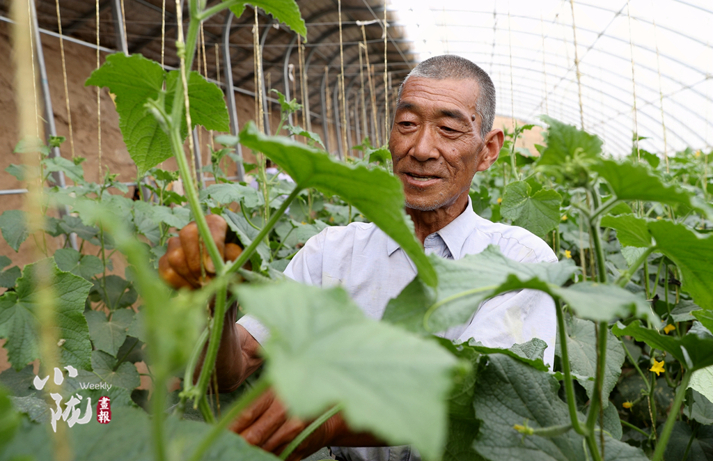 【小隴畫(huà)報(bào)·100期】筑夢(mèng)黃花灘：老照片里映過(guò)往 新生活中蘊(yùn)未來(lái)