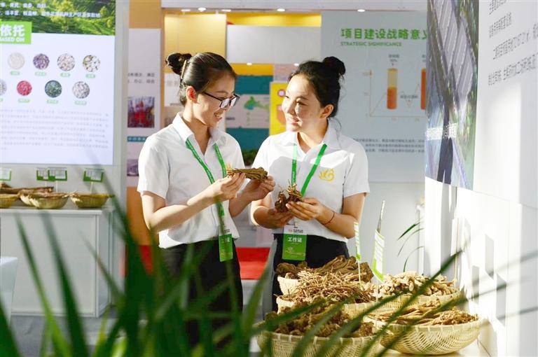 定西，從“千年藥鄉(xiāng)”邁向“中國藥都”