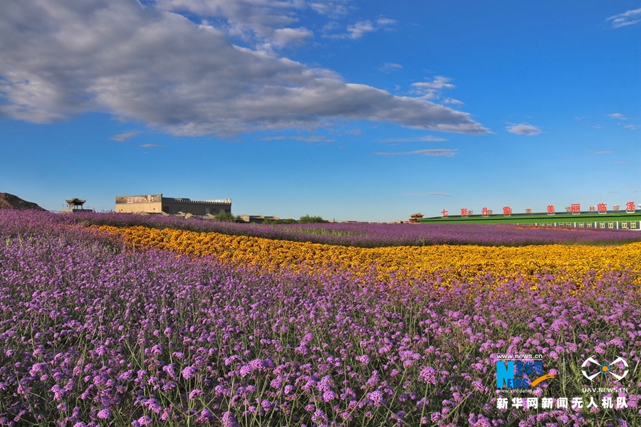 【“飛閱”中國】鳳凰花?！罢钩帷钡は伎?>
        </a><em>【“飛閱”中國】鳳凰花?！罢钩帷钡は伎?/em></li>
    <li><a  target=