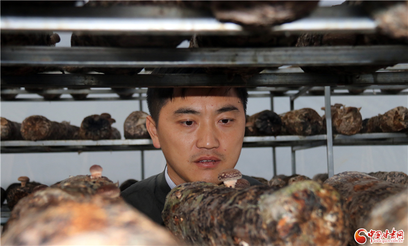 110年！何家溝村終于有了集體經(jīng)濟(jì)——中建二局黨建結(jié)對(duì)幫扶成效顯著