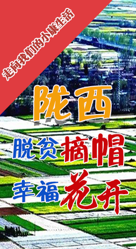 【走向我們的小康生活】長圖|隴西：脫貧摘帽 幸?；ㄩ_