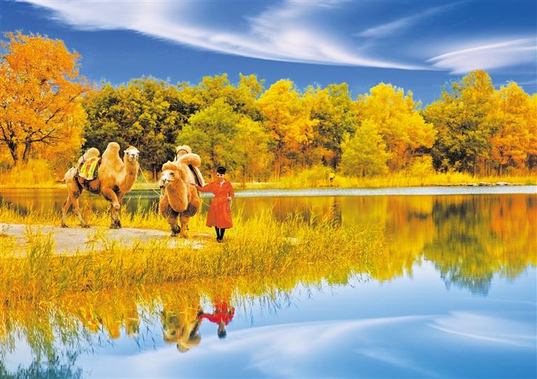 國慶長假，去金塔遇見最美胡楊