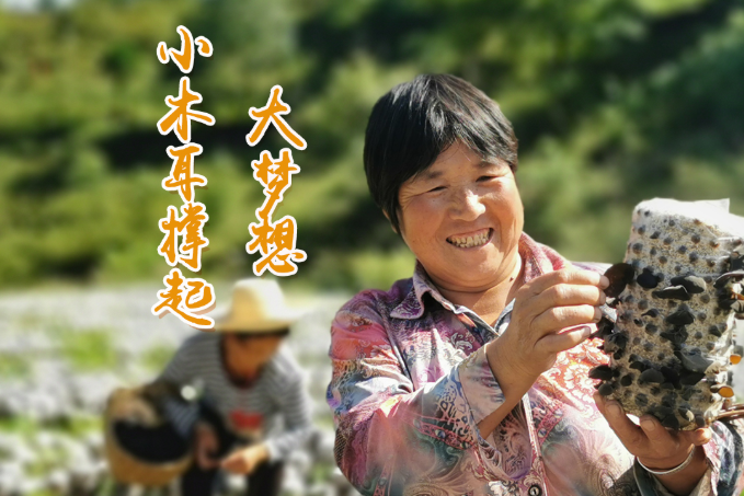 海報丨他們，乘“豐”破浪！