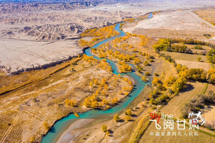 【飛閱甘肅】好美！疏勒河畔大地斑斕