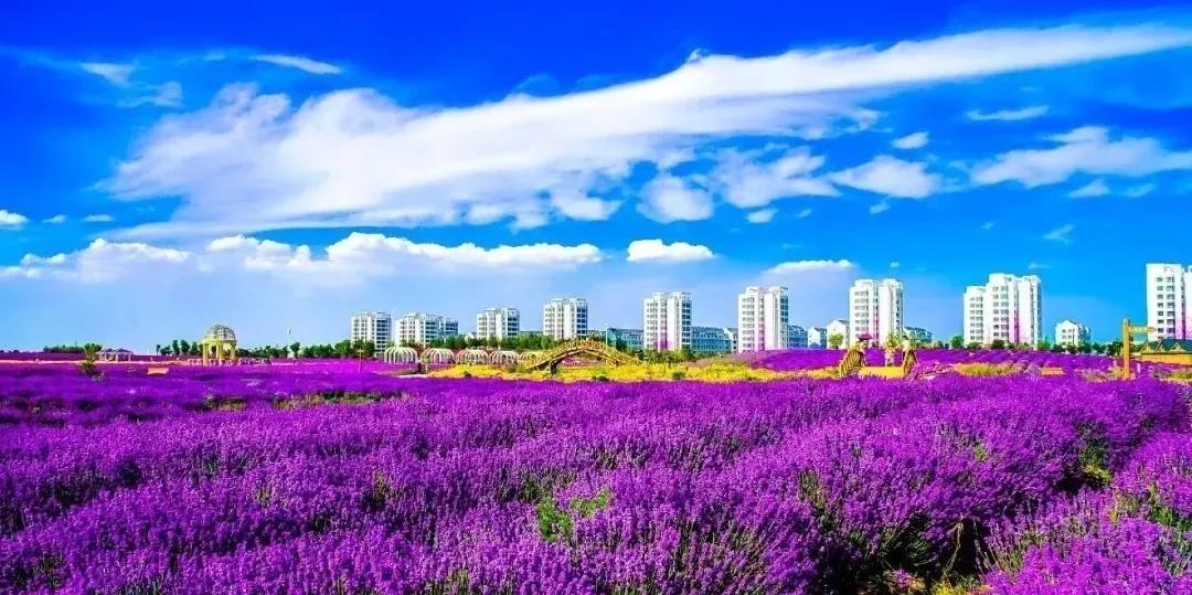 喜訊！金昌蟬聯(lián)全國文明城市