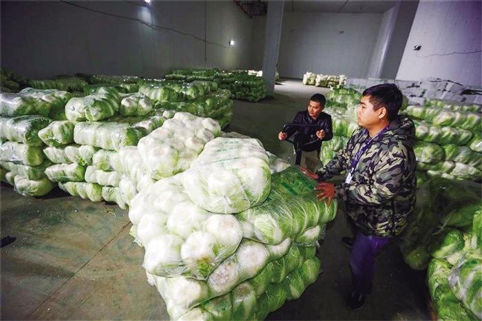 蘭州市已儲備1萬噸冬春蔬菜以耐貯存、易周轉(zhuǎn)品種為主
