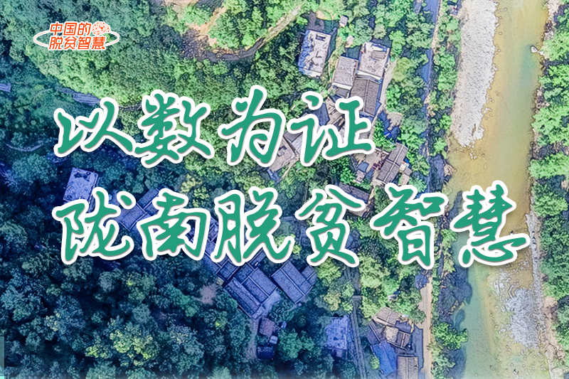 【中國(guó)的脫貧智慧】以數(shù)為證！隴南脫貧智慧來了！