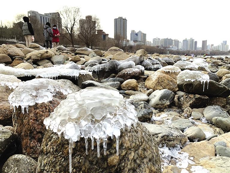 蘭州：水母上河灘？