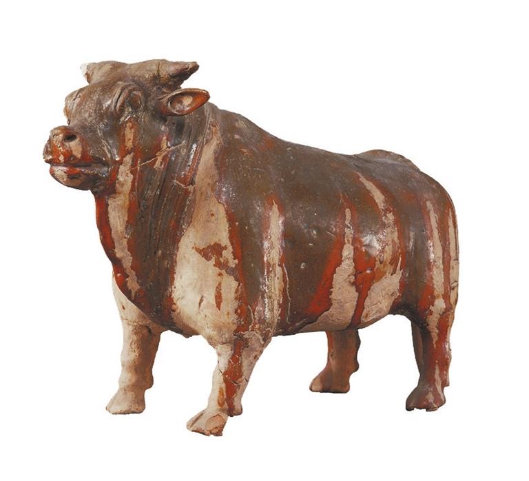 打開眼界丨牛年看牛，越看越牛!