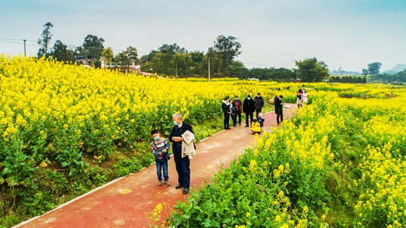 游客在花海里踏青。廖濤 攝