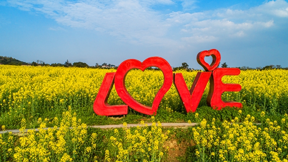 “l(fā)ove”創(chuàng)意拍照墻。廖濤 攝