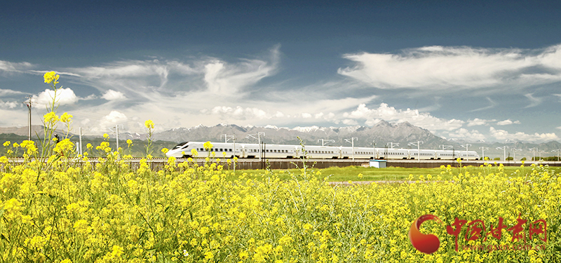 坐上火車“邂逅”春天，你可以這樣享“鐵路游”