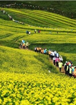 甘肅明確農(nóng)民進城落戶:不以退出承包地、林地等為條件