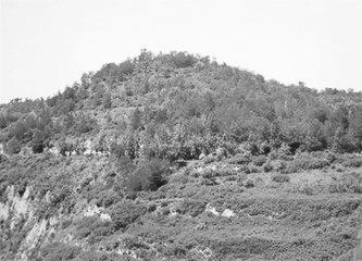 歷史眼丨張果老是正寧人？他與甘肅福緣不淺