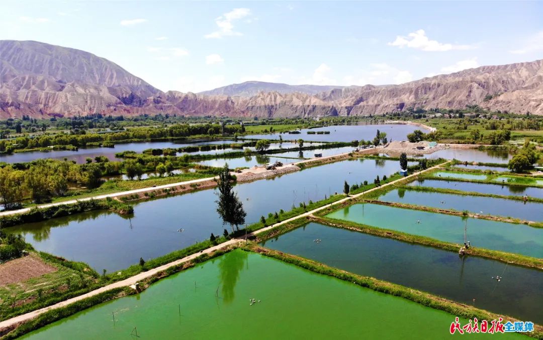一秒入畫！太極島濕地風(fēng)光秀麗