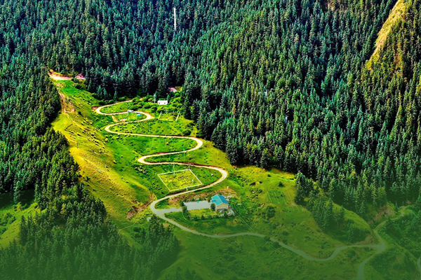 海報(bào)|祁連山保護(hù)區(qū)生態(tài)環(huán)境問(wèn)題整改全面完成！