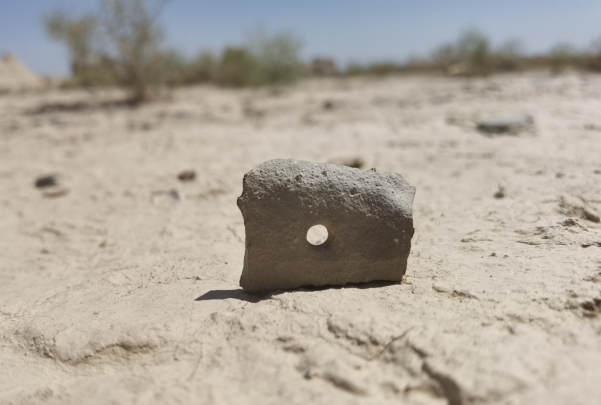 插圖1：河西走廊上遺存的古陶片。攝影：陳曉斌。拍攝日期：2020年6月。