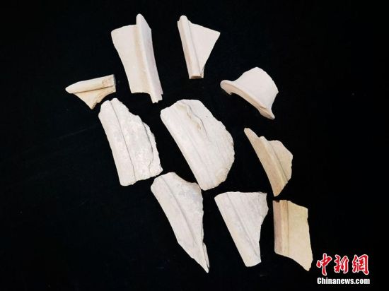 圖為靜寧縣賈河鄉(xiāng)竇坪村出土的彩陶片、紅陶片。 夏劍鋒 攝