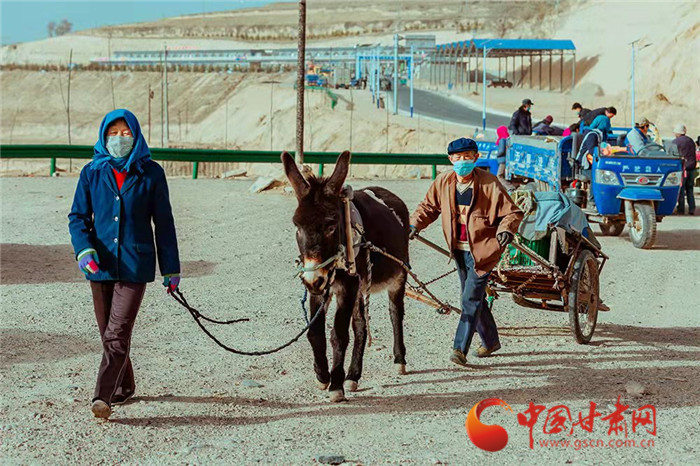 【小康路上看老鄉(xiāng)】蘭州榆中：北山百合迎豐收 產銷兩旺助致富