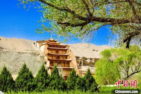 4月的敦煌莫高窟景區(qū)春意盎然。(資料圖) 王斌銀 攝
