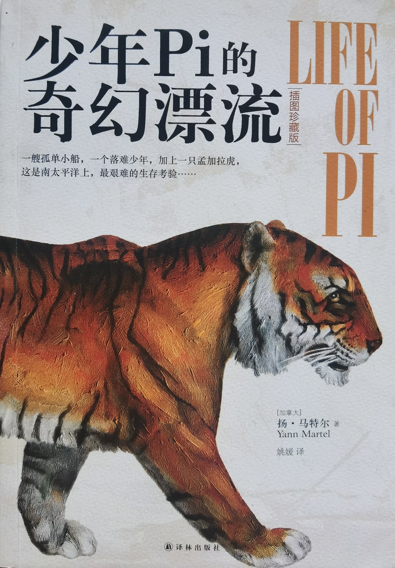 插圖1：揚？馬特爾的小說《少年pi的奇幻漂流》封面