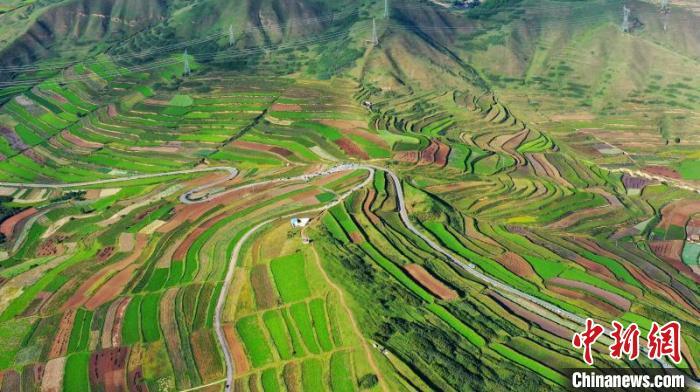 秋日里，榆中縣馬坡鄉(xiāng)千畝梯田，不同農(nóng)作物漸趨成熟，呈現(xiàn)出多種色彩，宛若大地的“調(diào)色盤(pán)”?！圆?攝