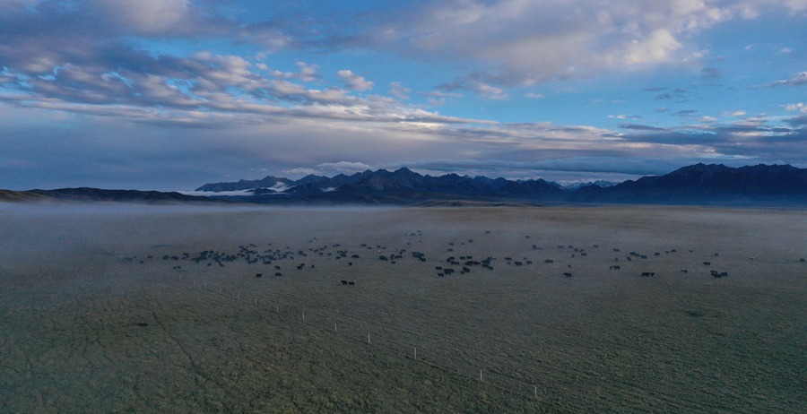 甘肅山丹馬場：峽谷云霧似仙境。 王超攝