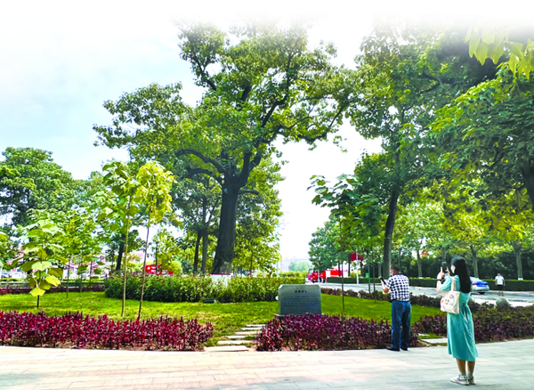 1669593533158747.png 1.png