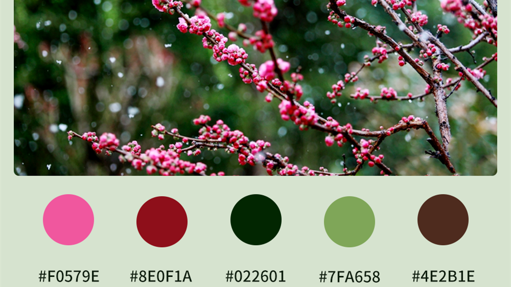 微海報|收藏！色卡里的春日甘肅