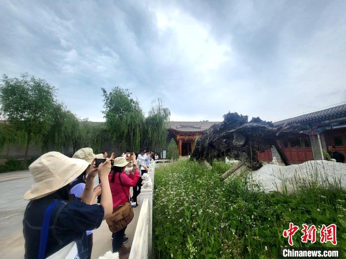 圖為媒體記者在青海永錄民俗參觀采訪?！⊙Φ?攝