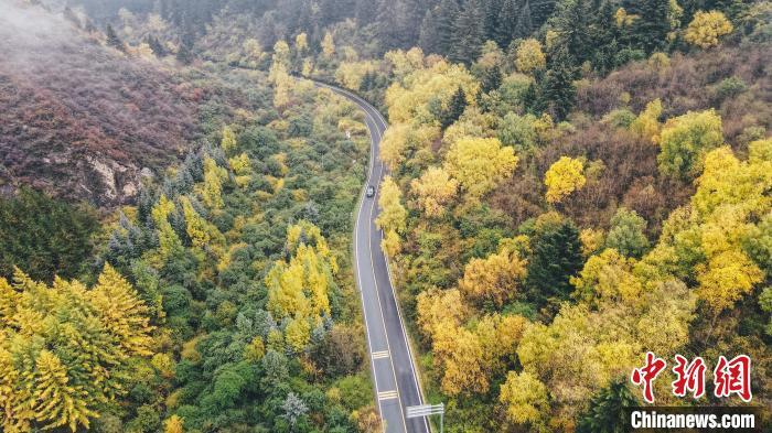 深秋，航拍位于蘭州市榆中縣的興隆山，景色如畫。金峯 攝</p>
<p>