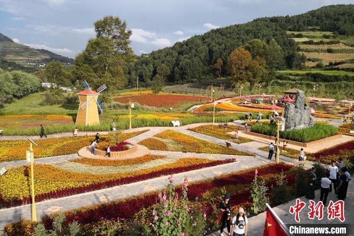 圖為航拍甘肅甘南臨潭縣八角鎮(zhèn)，花海吸引游人。(資料圖)高展 攝