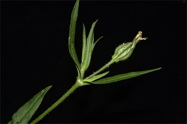 1710236366122991.jpg 13-2.jpg