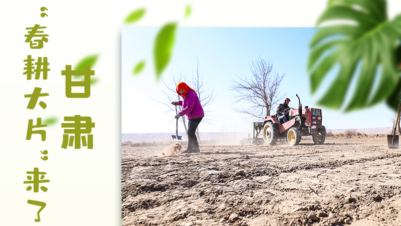 【甘快看】海報|瞧！甘肅“春耕大片”來了