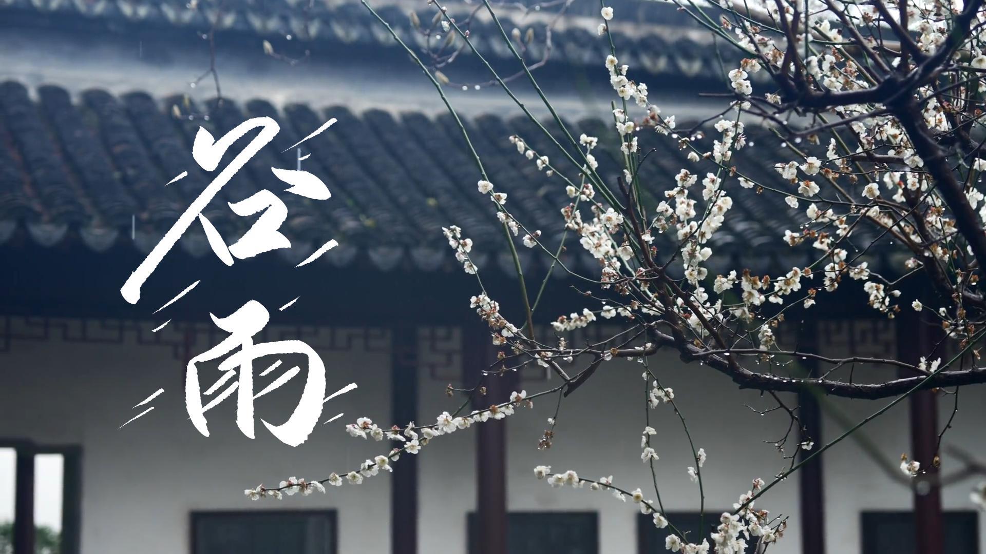 【節(jié)氣里的大美甘肅】谷雨，春天的最后一次回眸