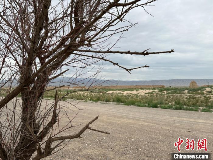 圖為位于長城墻體上的“馬面”或“敵臺”。　戴文昌 攝