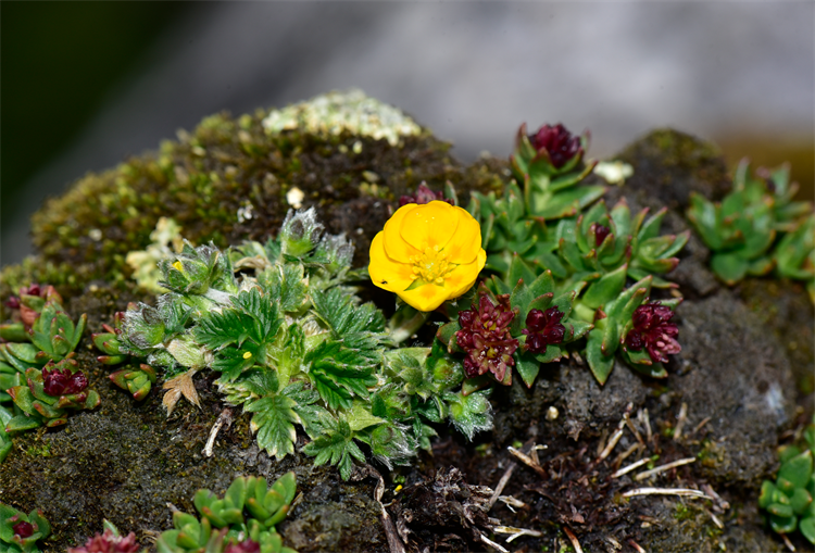 1725266605541026.png 3-2.png